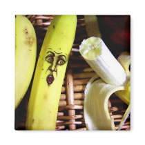 the end of the fruit basket magnet