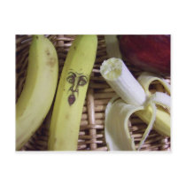 the end of the fruit basket postcards by nicolerenner the end of the fruit basket postcards