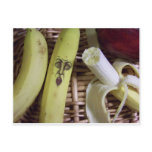 the end of the fruit basket post card