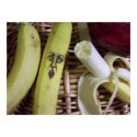 the end of the fruit basket... posters