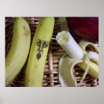 the end of the fruit basket... posters
