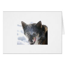 The end of the race cards