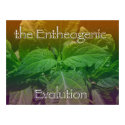 The Entheogenic Evolution Salvia posters by EntheEvo The Entheogenic Evolution Salvia posters