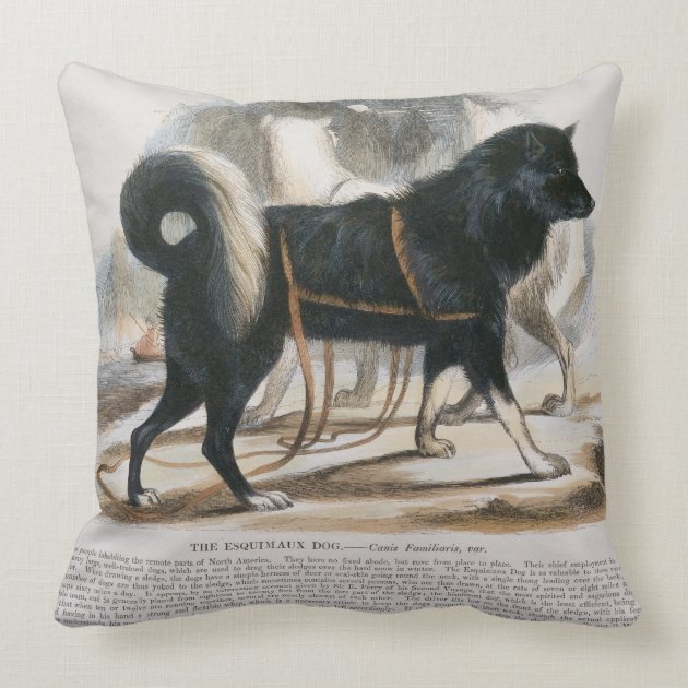 The Esquimaux Dog (Canis familiaris) educational i Throw Pillows