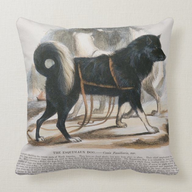 The Esquimaux Dog (Canis familiaris) educational i Throw Pillows-1