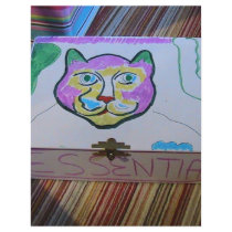 The Essential Cat Box flyers