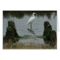 The Estuary at Pajaro Dunes cards