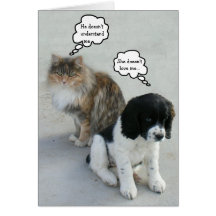 The eternal Misunderstanding... Greeting Cards
