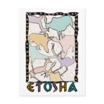 The Etosha Postcard