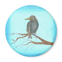 The European Starling Refrigerator Magnets