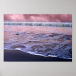The Evening Shore posters