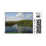The Everglades postage