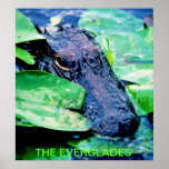 The Everglades Posters