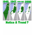 The Evolution of Palestine t-shirts