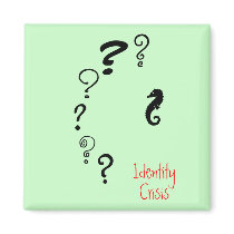 The Existential Seahorse_Identity Crisis magnets