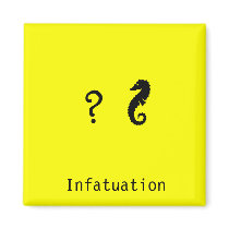 The Existential Seahorse_Infatuation magnets