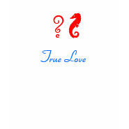 The Existential Seahorse_True Love shirt
