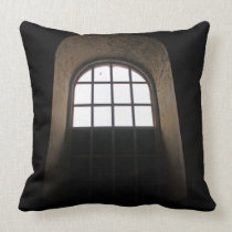 The Extra Dimension pillows