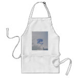 the eye aprons
