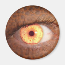 The eye fridge magnet