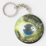 The Eye Key Chains