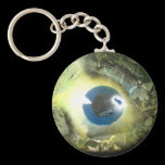 The Eye keychains