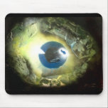 The Eye mousepads