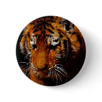 The Eye Of The Tiger buttons