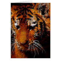 The Eye Of The Tiger cards