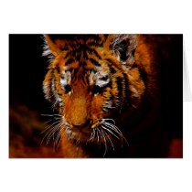 The Eye Of The Tiger cards