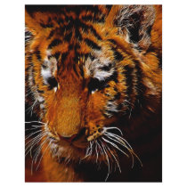 The Eye Of The Tiger letterhead