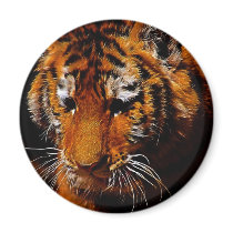 The Eye Of The Tiger magnets