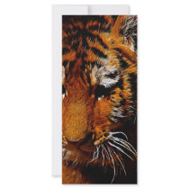 The Eye Of The Tiger rack cards