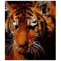 The Eye Of The Tiger t-shirts by laureenr The Eye Of The Tiger t-shirts
