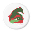 The EYE of ZAYED (the vision) magnets