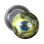 The Eye buttons