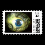The Eye stamps