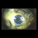 The Eye stickers