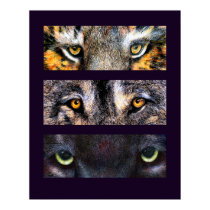 The Eyes Have It, Poster posters