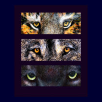 The Eyes Have It, Poster posters by artbyjolyn The Eyes Have It, Poster posters