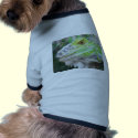 The Face of Bruno Angelic Glow pet clothing by WildAnimalArt The Face of Bruno Angelic Glow pet clothing