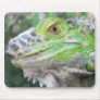 The Face of Bruno Painterly
