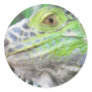 The Face of Bruno Painterly