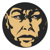 The Face Sticker