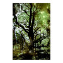 The Fairy Tree posters