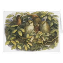 The Fairyland,1870 Fairy With Owls Greeting Cards