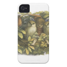 The Fairyland,1870 Fairy With Owls iPhone 4 Case