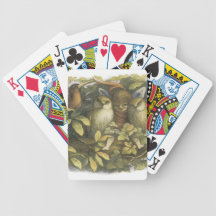 The Fairyland,1870 Fairy With Owls Poker Cards
