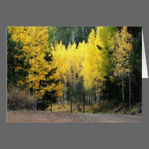 The fall colors were GREAT cards by rcooper56 The fall colors were GREAT cards