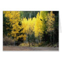 The fall colors were GREAT cards by rcooper56 The fall colors were GREAT cards